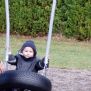 Kid swinging on Wooden Tyre Swing