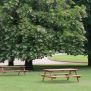 Miniaturka Lariks picknicktafel (3)